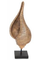 Декор- ракушка Secret De Maison Shell (MA-1406) (Коричневый) фото Декор- ракушка Secret De Maison Shell (MA-1406) (Коричневый)