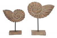 Декор Secret De Maison Раковины 8541 (2 шт.) (Натуральный) фото Декор Secret De Maison Раковины 8541 (2 шт.) (Натуральный)