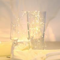 Гирлянда Супернить Globo Venuto 29950-20 фото Гирлянда Супернить Globo Venuto 29950-20. Фото №1