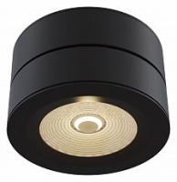 Накладной светильник Maytoni Treviso C023CL-L20B фото Накладной светильник Maytoni Treviso C023CL-L20B. Фото №1