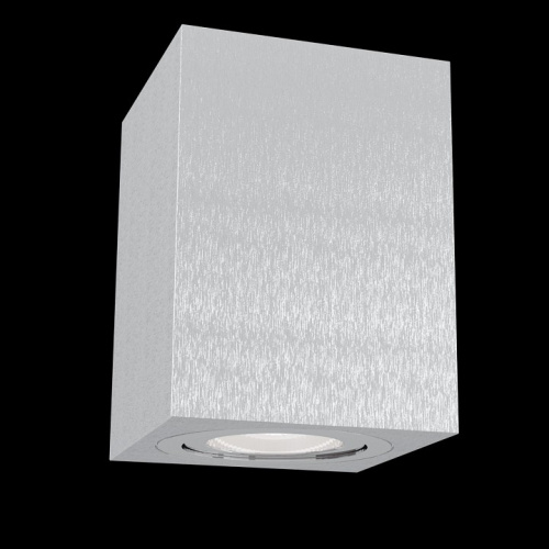 Накладной светильник Maytoni Alfa C017CL-01S. Фото №2