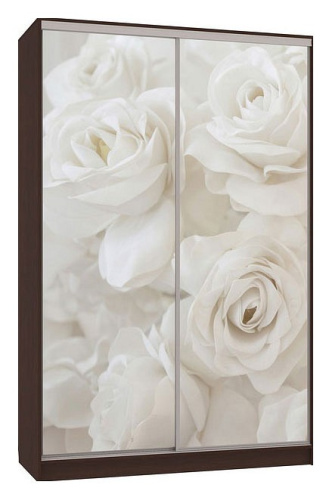 Шкаф-купе Рио 7-600 розы (полки слева) венге. Фото №1