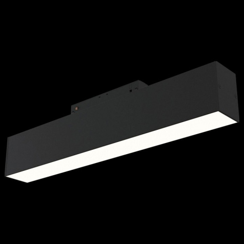 Накладной светильник Maytoni BASIS TR012-2-12W3K-B. Фото №2