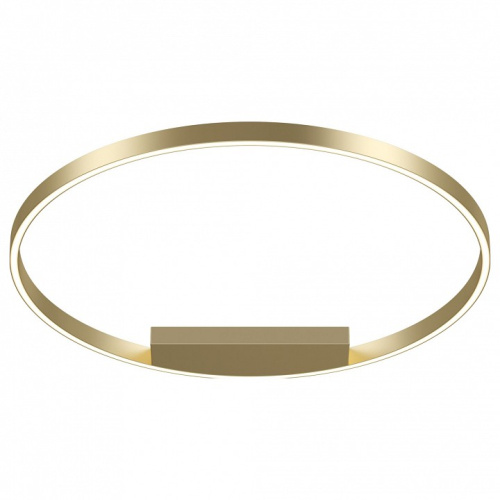 Накладной светильник Maytoni Rim MOD058CL-L50BS4K. Фото №1