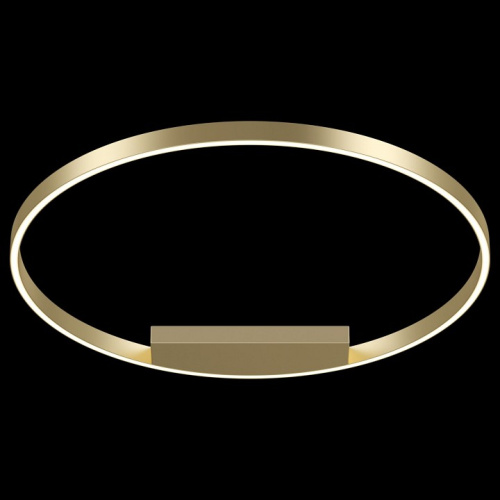 Накладной светильник Maytoni Rim MOD058CL-L50BS4K. Фото №2