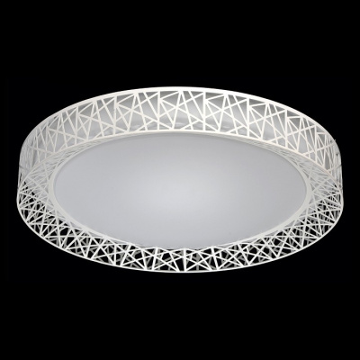 Накладной светильник MW-Light Ривз 2 674012201. Фото