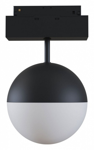 Светильник на штанге Maytoni Kiat TR017-2-10W4K-B. Фото №1