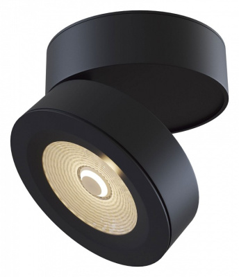 Накладной светильник Maytoni Treviso C023CL-L20B фото Накладной светильник Maytoni Treviso C023CL-L20B. Фото №2