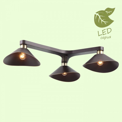 Потолочная люстра Lussole Opelika GRLSP-9534 фото Потолочная люстра Lussole Opelika GRLSP-9534. Фото №2